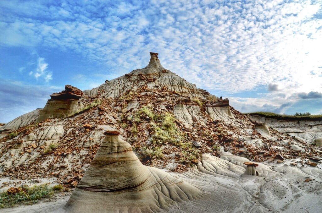 Educational Dinosaur Provincial Park